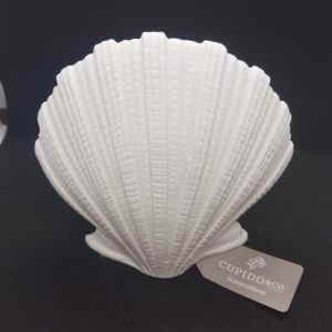1627945 - Conchiglia con luce a led