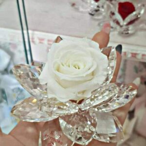 2018101/R Rosa Hermosa su fiore di cristallo swarovski